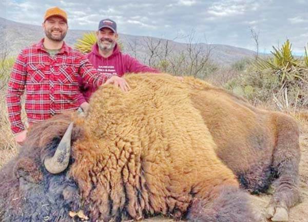 Desmiente Semarnat matanza de bisontes