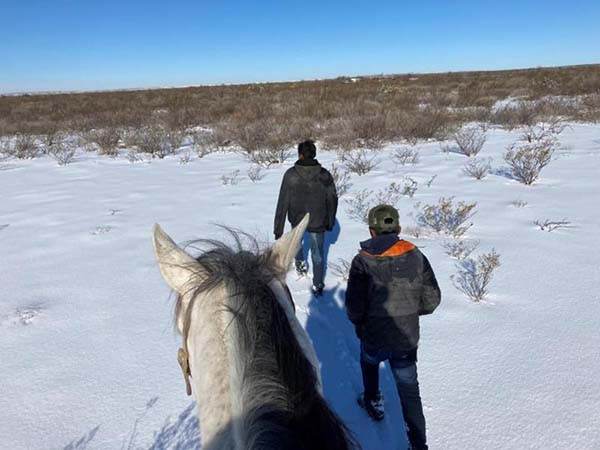 Advierten a migrantes de bajas temperaturas