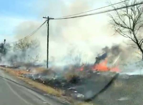 Controlan incendio forestal en la Cruz