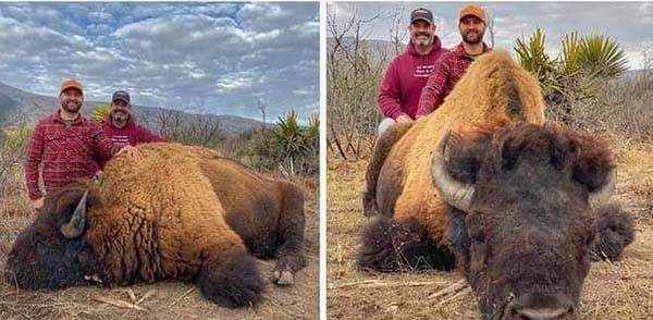 Investiga fotografías de cazadores de bisontes