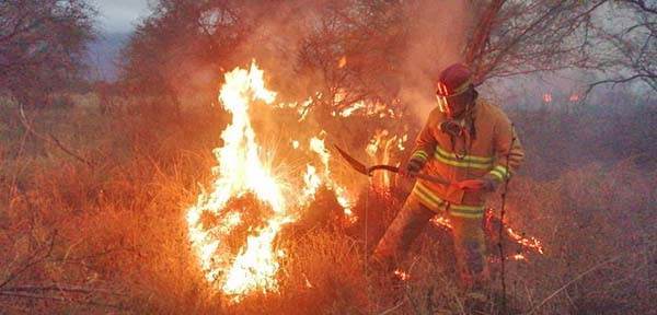 PC y Bomberos apoyan en combate de incendio