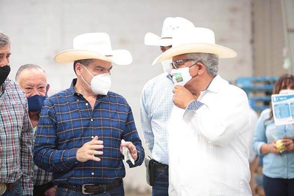Coahuila apuesta a siembra de higo, nogal y granado