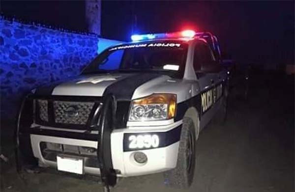 Entra a robar y asfixia a perrito