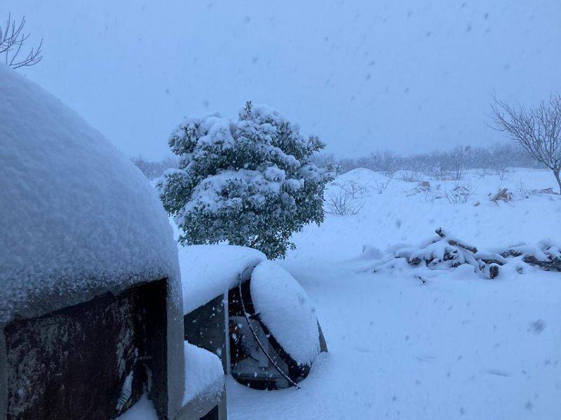 Se registra nevada en Acuña