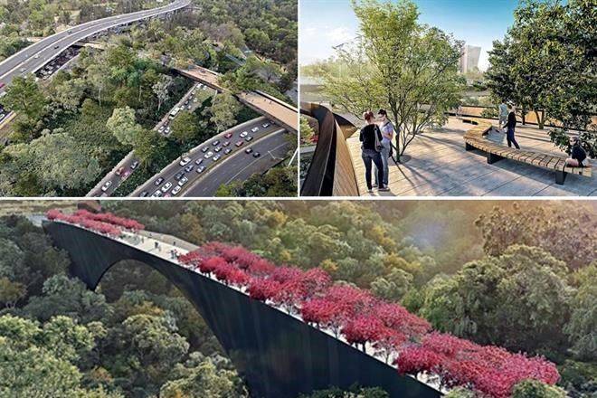 Buscan nuevas alternativas para Chapultepec