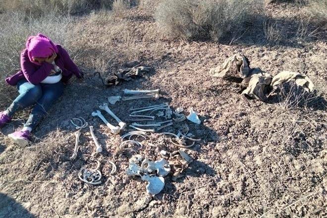 ‘Rascaré tierra hasta tener tu último hueso’