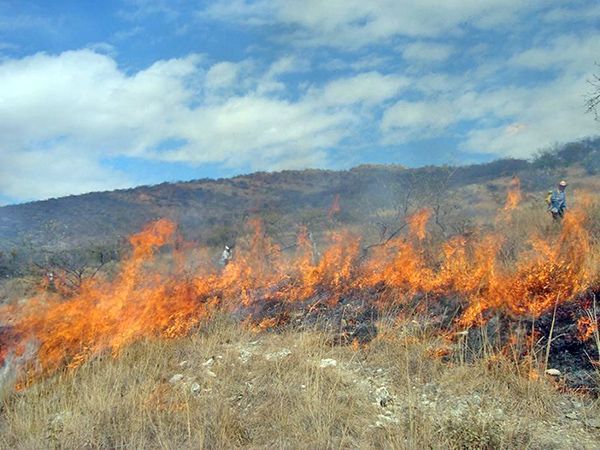 Se adelantan incendios