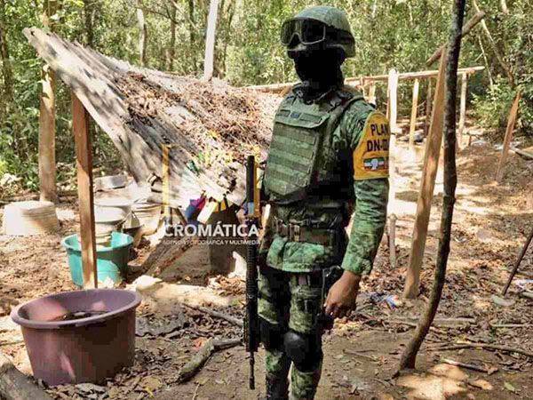 Ejército mexicano localiza por primera vez sembradíos de coca