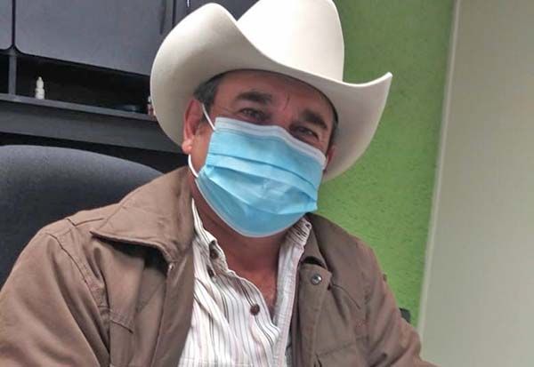 Apuestan productores por siembra de la nuez