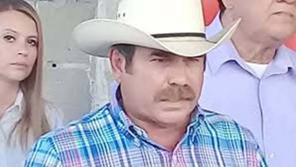 Mata helada a 65 cabezas de ganado