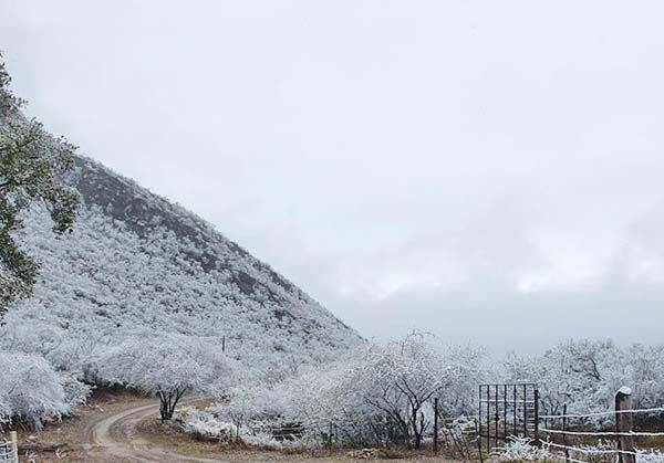 Se viste de blanco Región Carbonífera