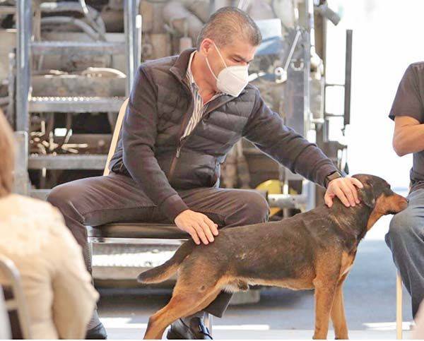 Muestra MARS cariño y respeto para perritos