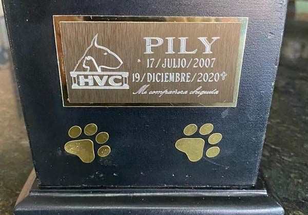 Ya se pueden cremar mascotas en Monclova