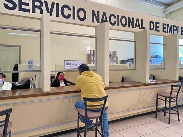 Abre reclutamiento de personal el SNE