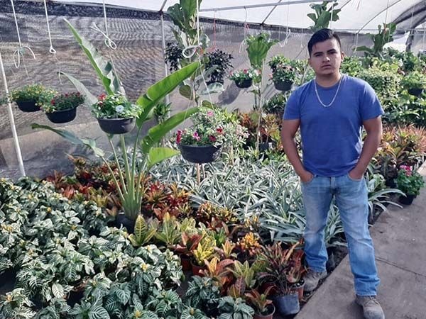 Consejos para proteger plantas de onda gélida