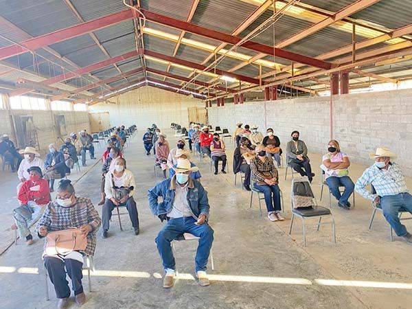 Por “error de logística” plantaron a ancianitos