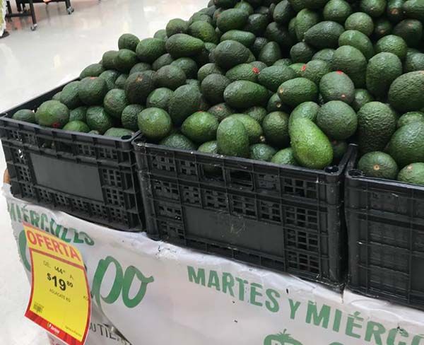 Baja aguacate a 19.80
