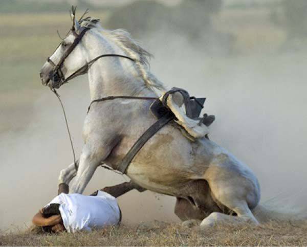 Dan protección a mujer arrastrada por caballo