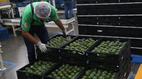 Ni el Super Bowl salva las exportaciones de aguacate mexicano