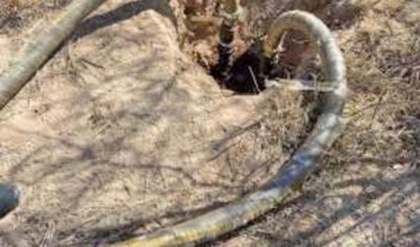 Pega Guardia Nacional fuerte en Ramos Arizpe