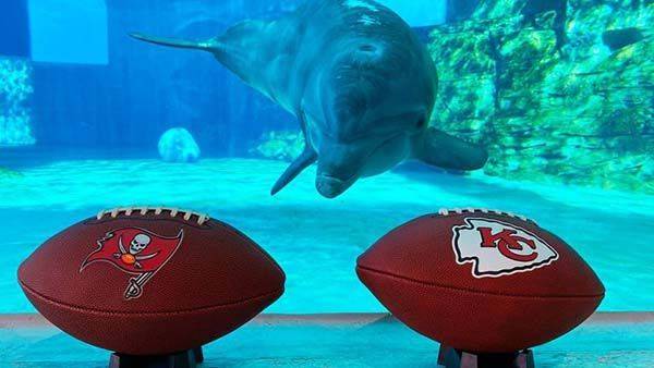 DELFÍN PRONOSTICA QUE CHIEFS GANARÁ EL SÚPER TAZÓN