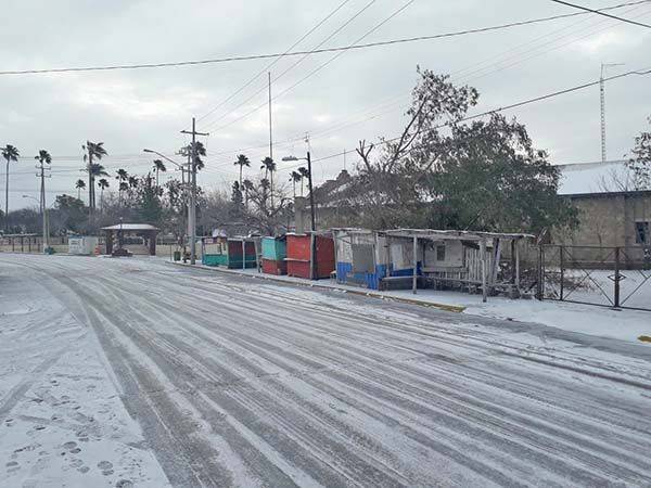 Paraliza nevada a Nueva Rosita