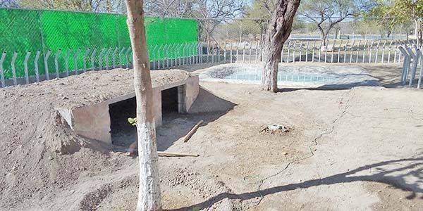 Resguardó Ecoparque a los animales por frío