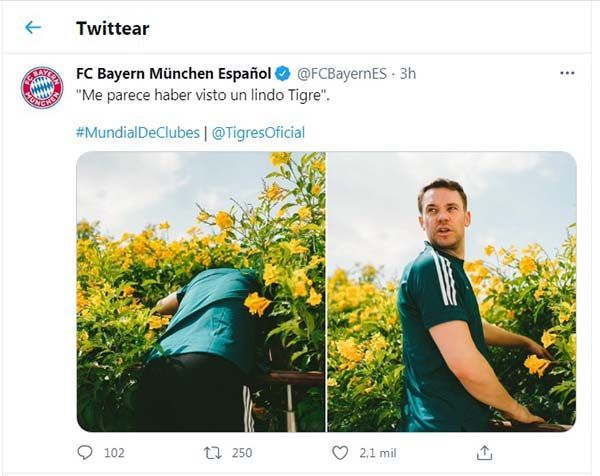 ¿Lindo gatito? Bayern Munich ‘enciende’ las redes por ‘minimizar’ a Tigres