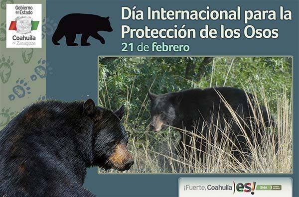 Llama Medio Ambiente de Coahuila a cuidar los osos