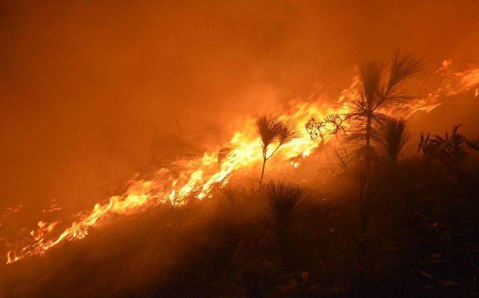 Reportan incendio fuera de control en Heliodoro Castillo, Guerrero