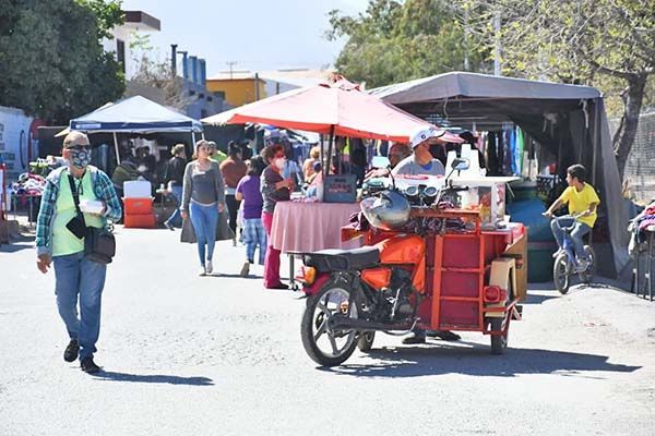 Da resultado cierre de pulgas en enero