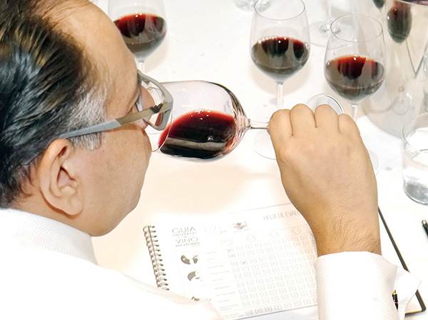 Aprende de vinos de manera gratuita online