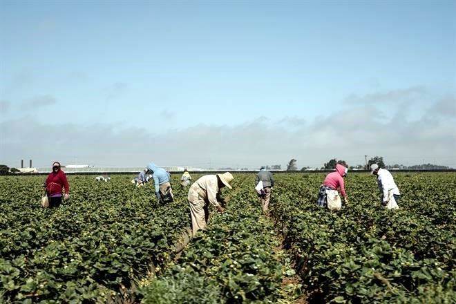 Reclaman en EU por trabas al agro