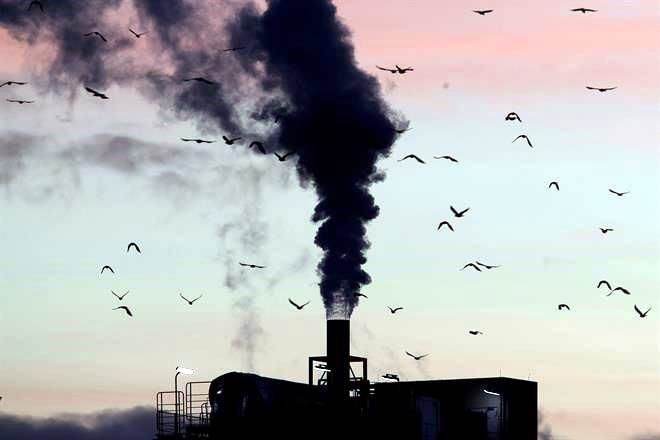Prevén 50 compañías neutralidad de carbono para 2040