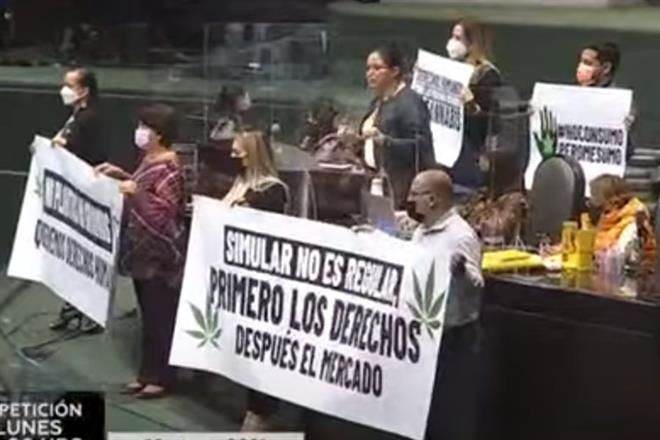 Aprueban Diputados en lo general ley para regular cannabis
