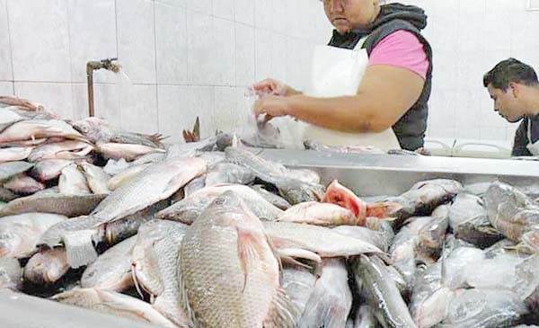Aumenta precio de pescado y marisco