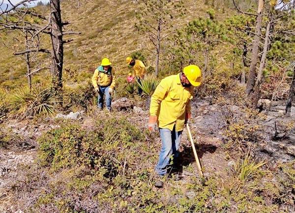 Combaten 2 incendios en la Región Sureste