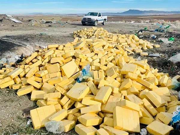 Detectan queso menonita contaminado