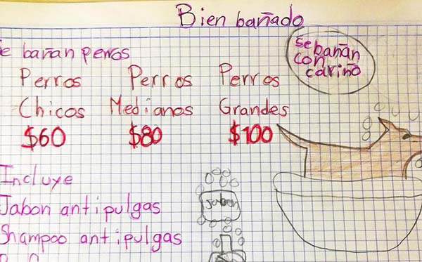 Niño en Monterrey baña perritos por 60 pesos