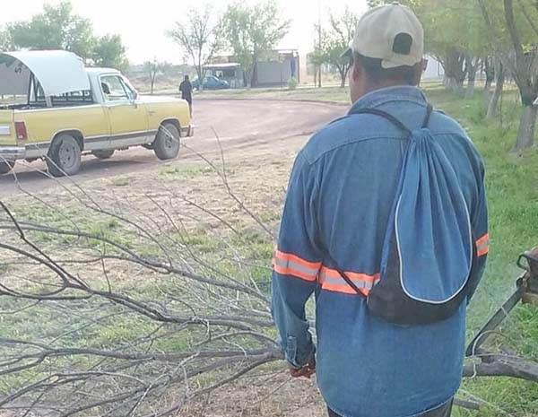 Reforestan en SB unidad deportiva