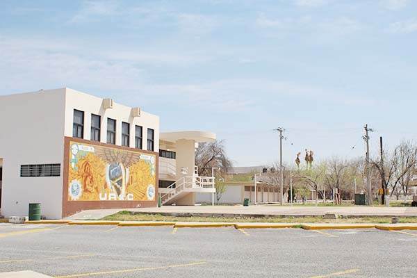 Clases presenciales no son obligatorias
