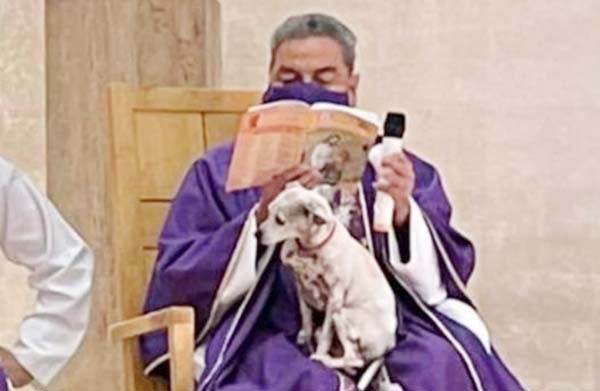 Ofrece Misa con perrita en brazos