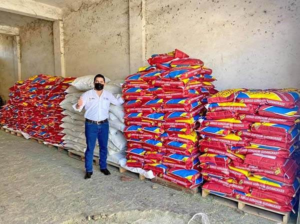Distribuirá Julio 10 toneladas de sorgo