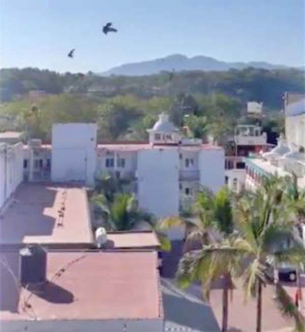 Reportan fuerte balacera entre la Guardia Nacional y civiles en Guayabitos, Nayarit