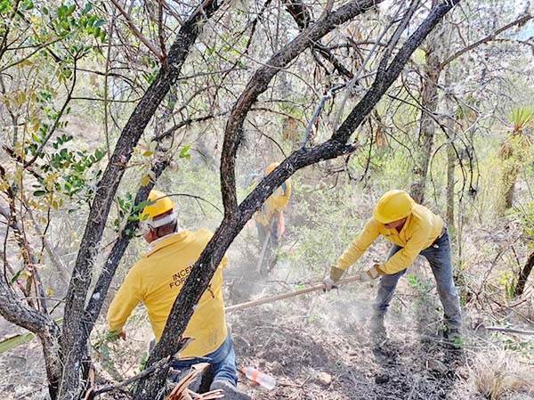 Se registra incendio en sierra de Arteaga