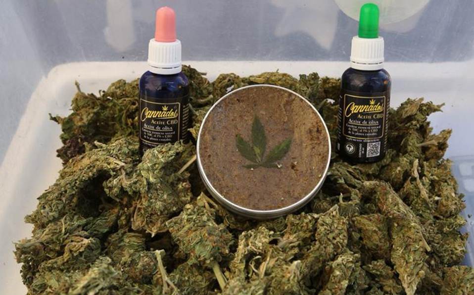 Regulación de mariguana avalada en San Lázaro viola más derechos que antes: activista