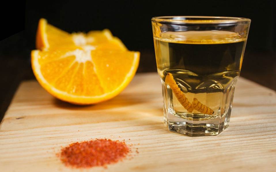 Cofece investiga posibles monopolios en el mercado del mezcal