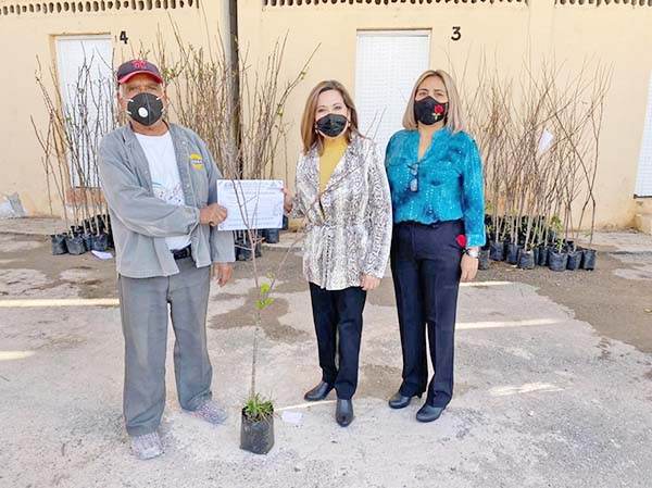 Inicia San Buenaventura campaña de reforestación