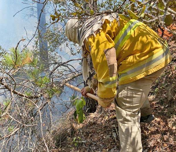 Viajan para apoyar incendio en Arteaga