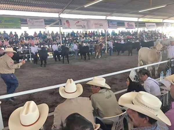 Todo listo para “Becerro Gordo”